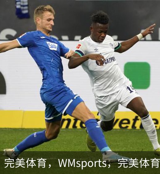 完美体育，WMsports，完美体育官方，完美体育平台，完美体育下载概况